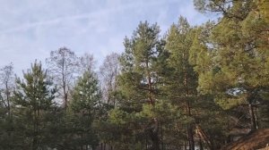 Почему мы не решаемся на изменения в нашей жизни? Что нас останавливает?