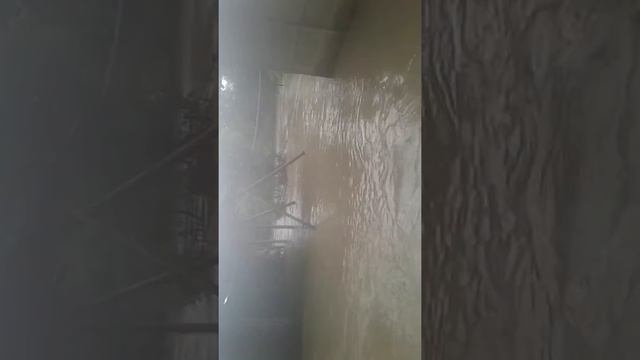 Mongolian Bags Bty flood(4) смотреть онлайн
