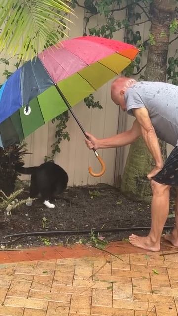 дед и кот смотреть онлайн