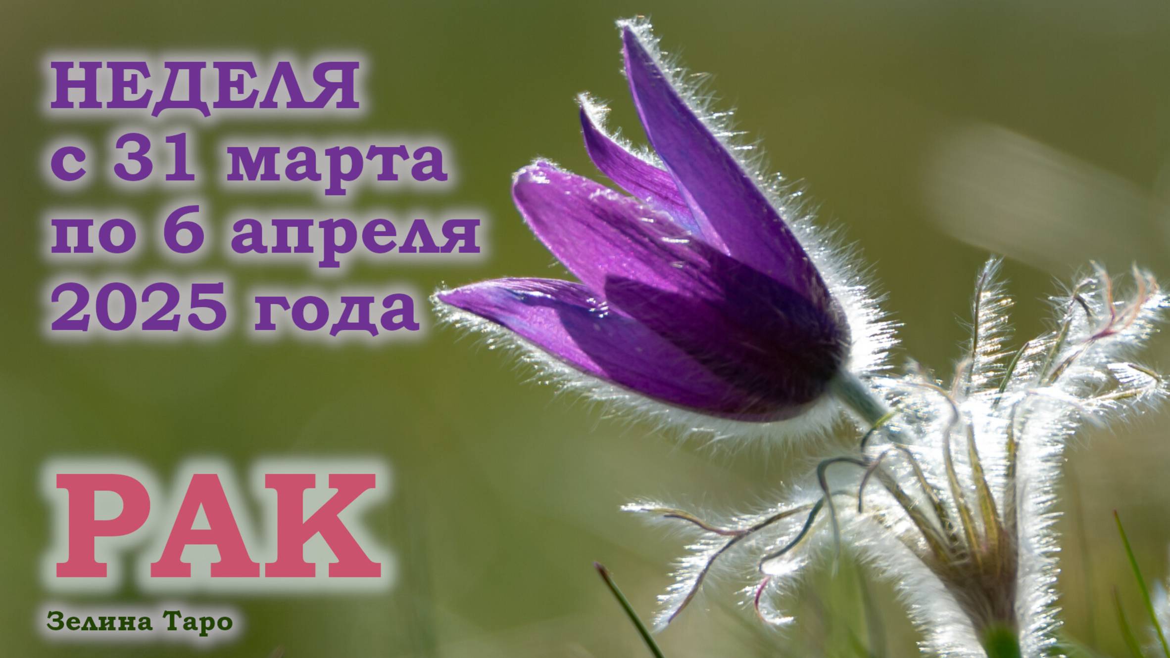 РАК | ТАРО прогноз на неделю с 31 марта по 6 апреля 2025 года