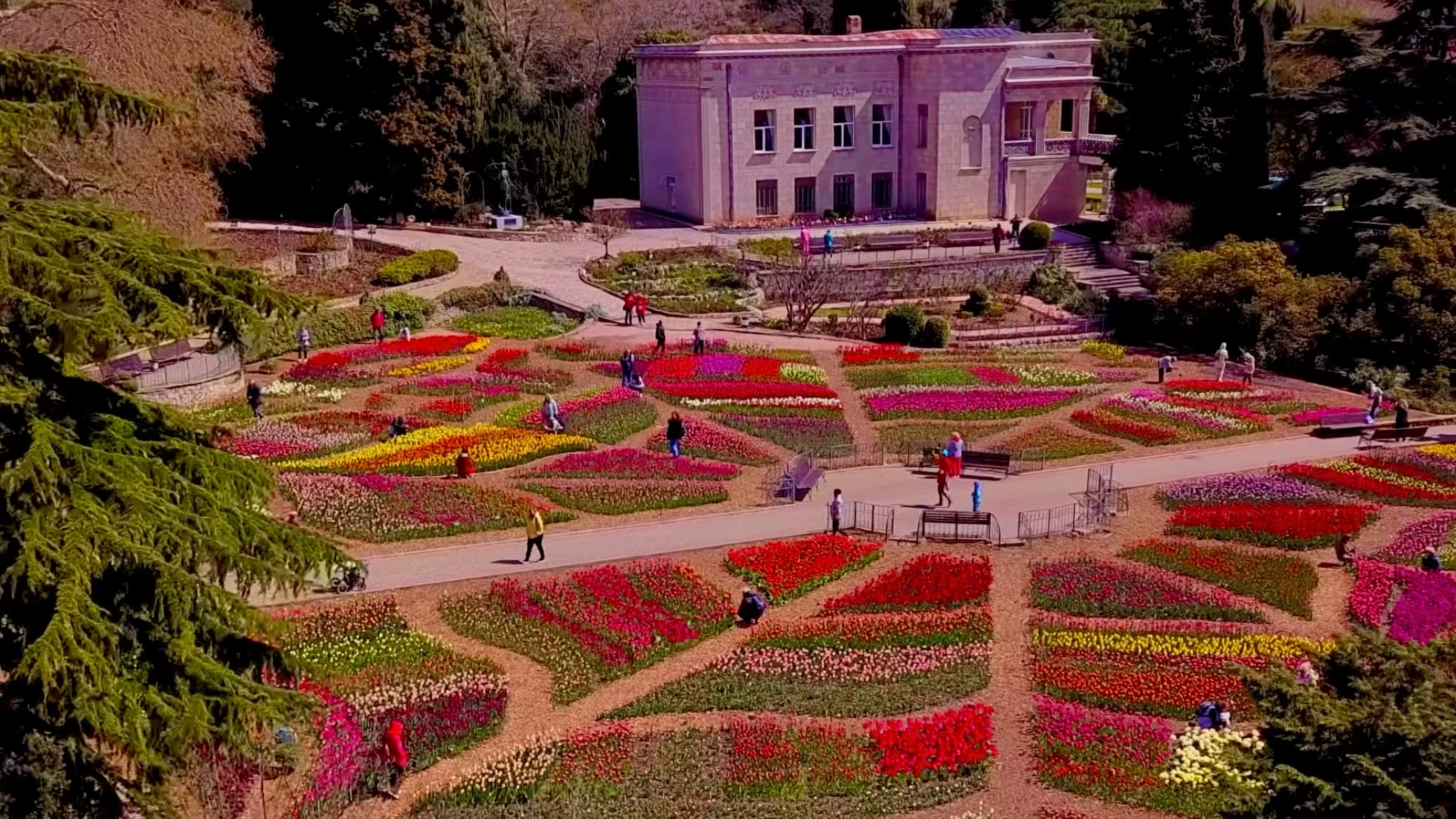 Парад Тюльпанов в Крыму 2025.. Стоит ли посещать? Обалдеть вот это красота. Показываю ВСЮ ПРАВДУ. смотреть онлайн