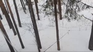 Вариант размещения RDA антенны на 160-80-40