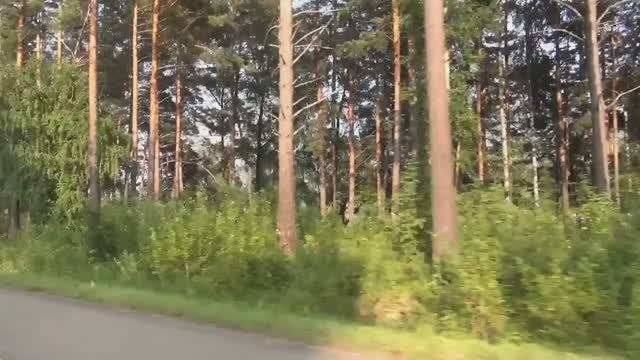 Добрый вечер. Белокуриха