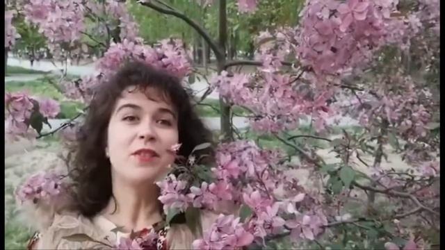 Визитка канала смотреть онлайн