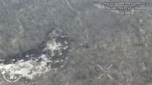 КРАСНО-ЛИМАНСКОЕ НАПРАВЛЕНИЕ, СЕРЕБРЯНСКОЕ ЛЕСНИЧЕСТВО, КРЕМЕНСКОЙ ЛЕС