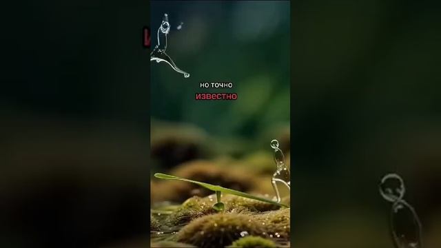 С чем пришел в этот мир с тем и уйдёшь. Цени свою и не тратьте на не нужные вещи смотреть онлайн