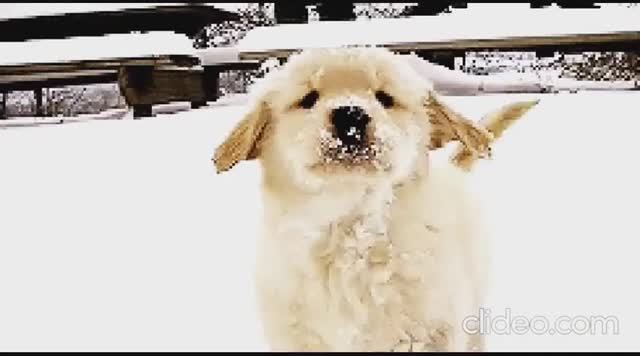 СНЕЖОК (акустика) - Жанна Вишнякова Арс смотреть онлайн