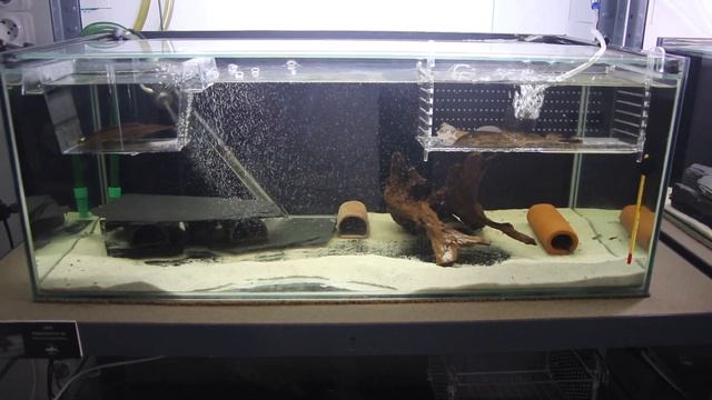 Breeding series - L201 project смотреть онлайн