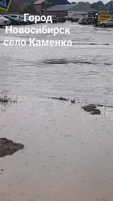 город Новосибирск село Каменка смотреть онлайн