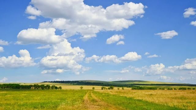 Арман Оганесян Yerevan смотреть онлайн