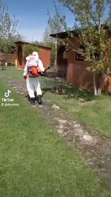 Акарицидная (противоклещевая) обработка участка