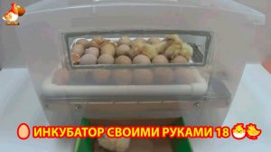 Инкубатор своими руками из подручных материалов и результат инкубации🥚🐣🐤 вариант (18)