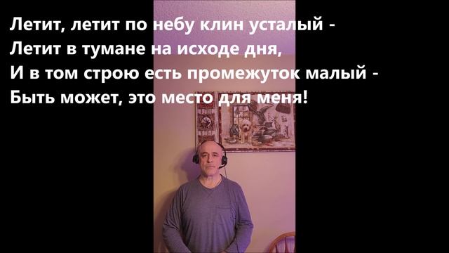 Журавли (cover)  
Слова Р. Гамзатова, перевод Н. Гребнева, Музыка Яна Френкеля