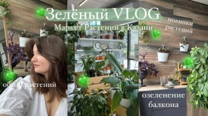 Маркет Растений | гуляю и покупаю растения, озеленяю балкон || Зелёный VLOG