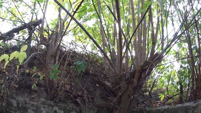 Киевский укрепрайон. Как оказалось, это 230 ДОТ КНП О смотреть онлайн