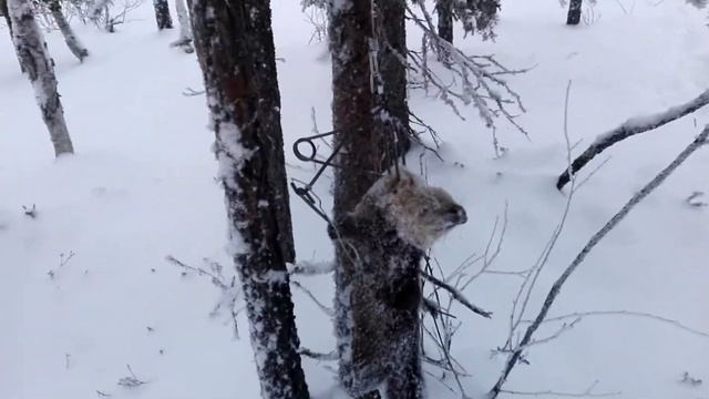 КА 2 соболь смотреть онлайн