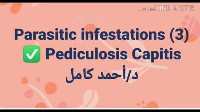 3- Pediculosis Capitis 👉 parasitic infestations by Dr Ahmed Kamel смотреть онлайн