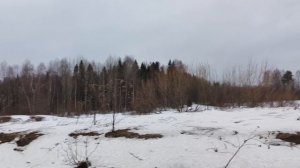 Жарю блины,проводила свекровь на автобус.