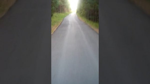 Уржум. Лыжероллерная трасса.