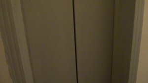 Пассажирские лифты V=1 м-с, Q=320, 400 кг (4834), один зелёный музыкальный лифт Мослифт