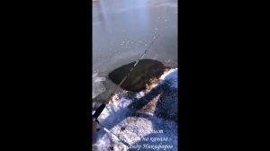 Рыбалка. И как это он забросил туда