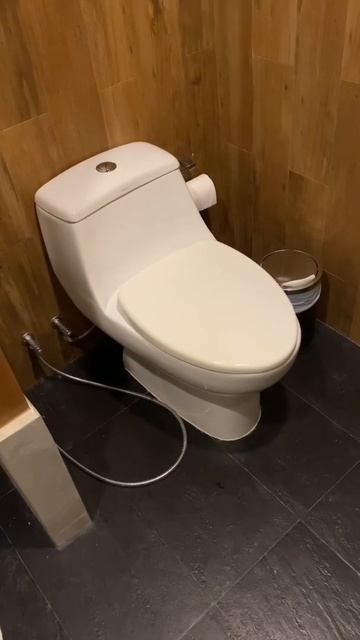 Тайские страхи/опасный унитаз ) смотреть онлайн