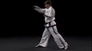 6 гып, зеленый поям, До-сан (Do San) со спины тхэквондо taekwondo таэквондо