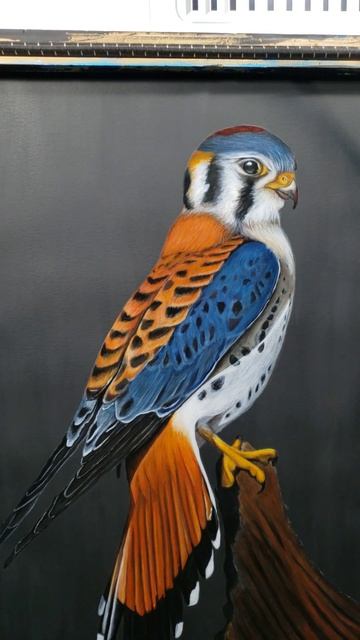 this a painting i finished today. Hawk 18"×24" Acrylic on paper. смотреть онлайн