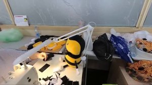 Да пребудет с нами Сила! igramir.com Фабрика мягких игрушек «Играмир»