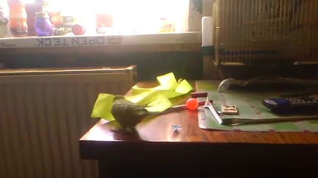 Лунная походка смотреть онлайн