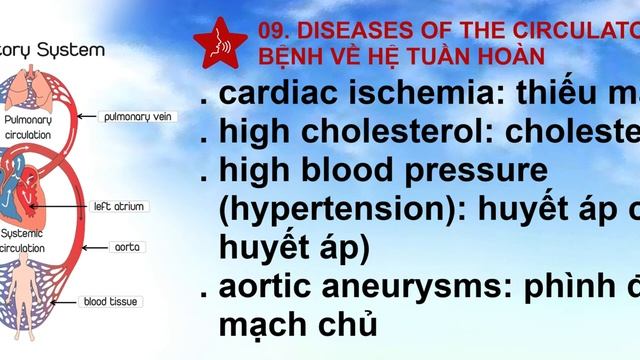 H&M #02 🔥 Những Căn Bệnh Thường Gặp | Common Diseases That Belong To Organ Systems смотреть онлайн