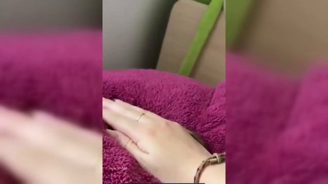 Подборка новых мемов каждый день! 00002 смотреть онлайн