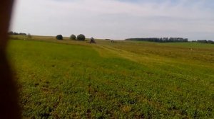 Покос травы на тракторе Беларус 3522
