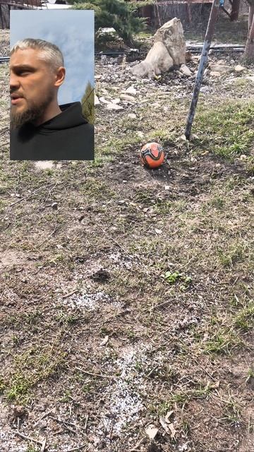 Кроты пришли в питомник😡 смотреть онлайн