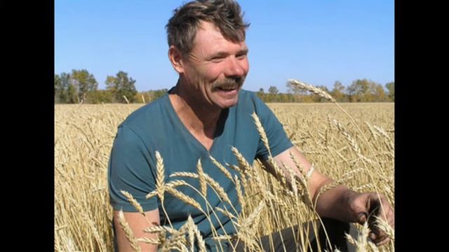 Визитная карточка. Чеботарев С.А. смотреть онлайн