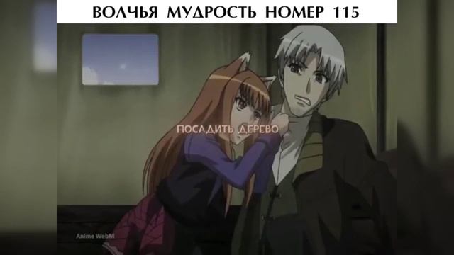 Подборка новых мемов каждый день! 00006 смотреть онлайн