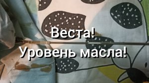 Веста нг! Жрёт или не жрёт масло!?