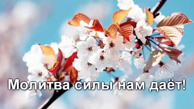 Молитва смотреть онлайн