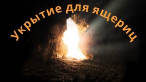 Укрытие для бородатых агам
