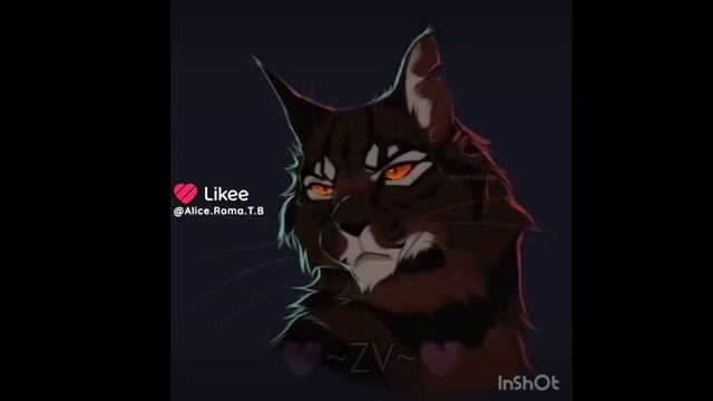 Эдит Звездоцап и Коршун//Коты воители #возрадимрукв !ВИДЕО ИЗ МОЕГО ЛАЙКА! смотреть онлайн