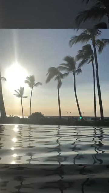 Flamingo Cocktail? | Travel Inspiration 2022 смотреть онлайн