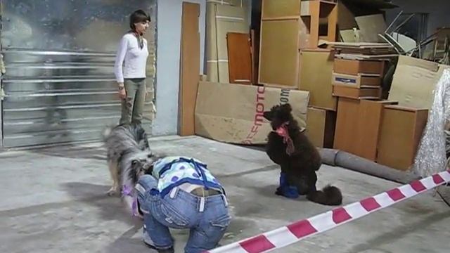 Рэй и Дара смотреть онлайн