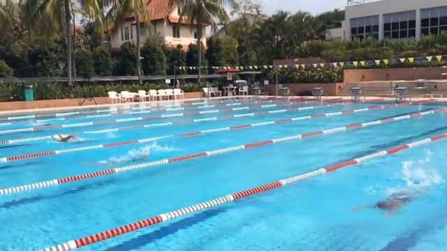 SGCC Invitational Swimming Meet 23 Feb 2014 смотреть онлайн