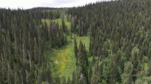 Автомобильное восхождение к посёлку Снежный на южном склоне горы Куль-Тайга (Горная Шория)