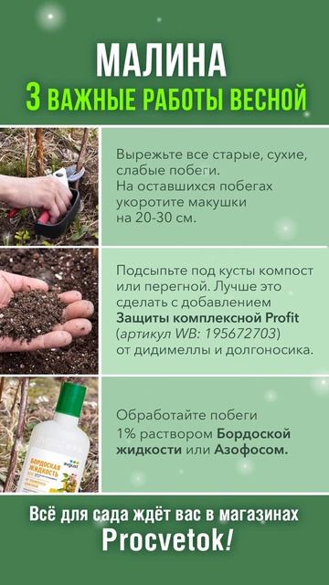 Малина засыплет ягодами! Обрезка, обработка и подкормка малины весной Сохраняйте в закладки! смотреть онлайн