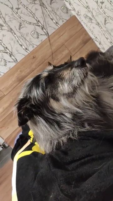 Спокойной ночи друзья. смотреть онлайн