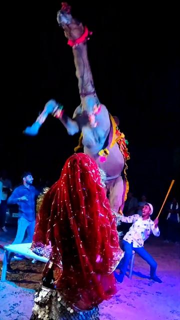 camel dance #shorts #camel #shortsvideo смотреть онлайн