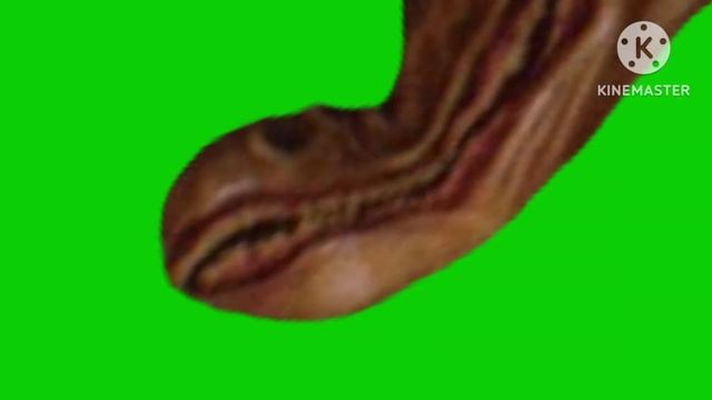 ghost of the patient jumpscare fanmade trevor henderson green screen смотреть онлайн
