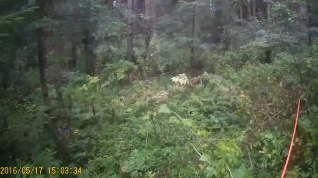 Эль след 050918 обе попытки поверхность 3 смотреть онлайн
