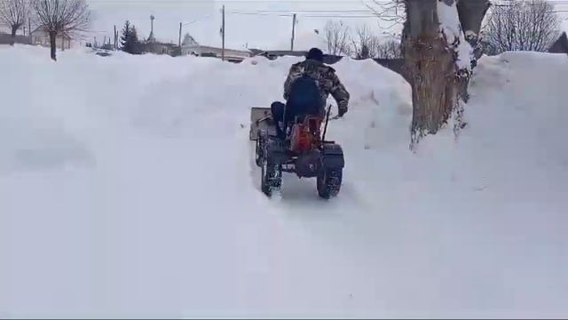 3 февраля 2024 г.